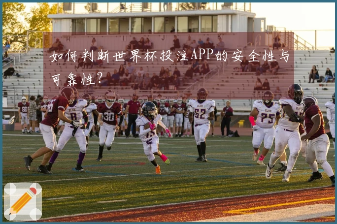 如何判断世界杯投注APP的安全性与可靠性？