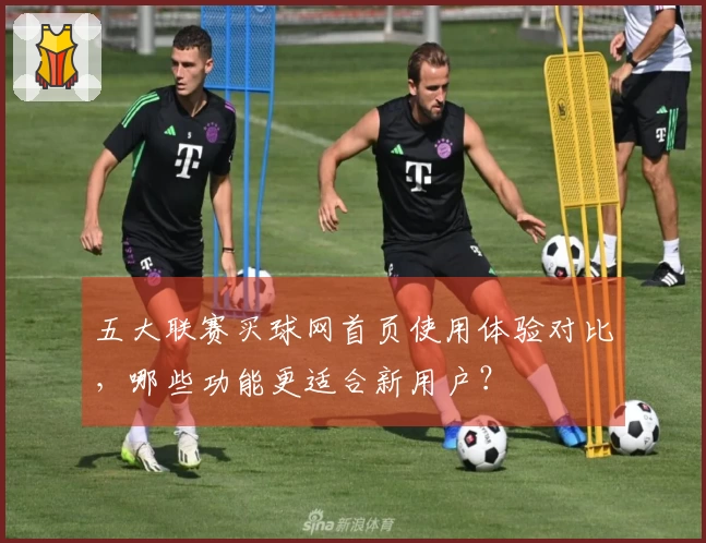 五大联赛买球网首页使用体验对比，哪些功能更适合新用户？