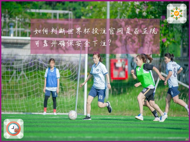 如何判断世界杯投注官网是否正规可靠并确保安全下注？