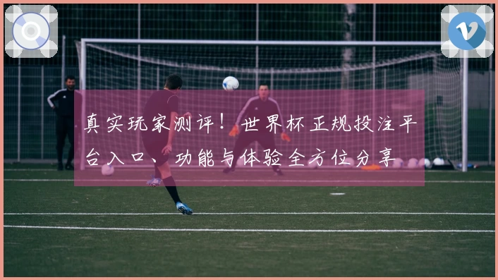 真实玩家测评！世界杯正规投注平台入口、功能与体验全方位分享