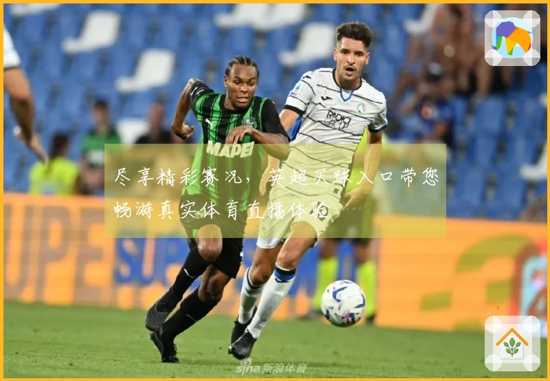 尽享精彩赛况，英超买球入口带您畅游真实体育直播体验