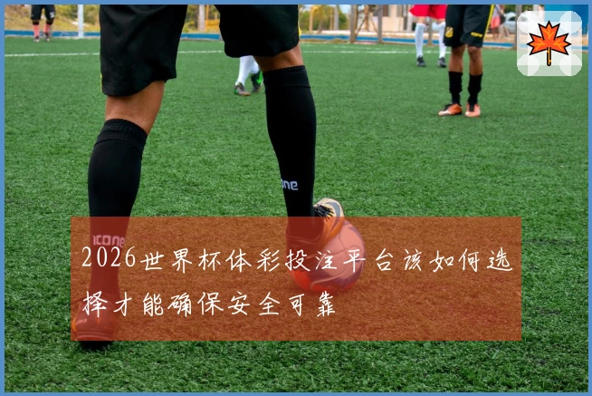 2026世界杯体彩投注平台该如何选择才能确保安全可靠