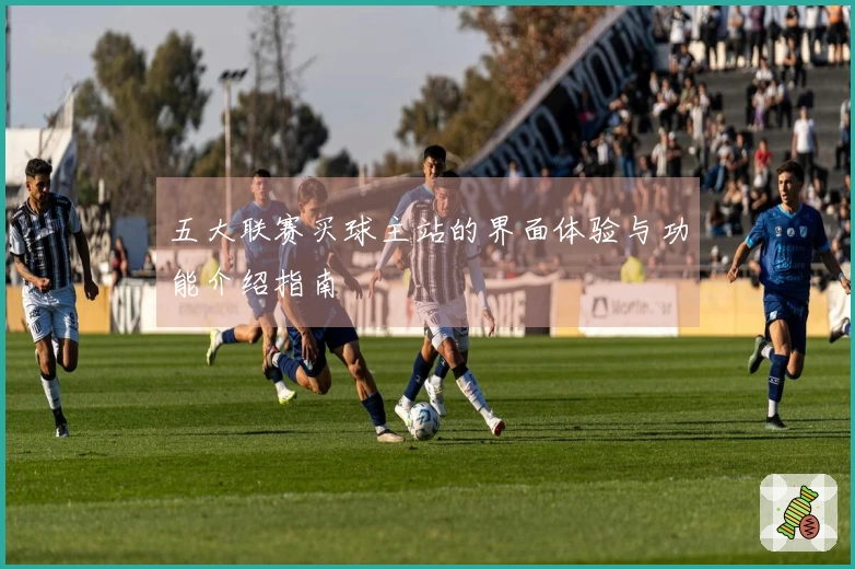 五大联赛买球主站的界面体验与功能介绍指南