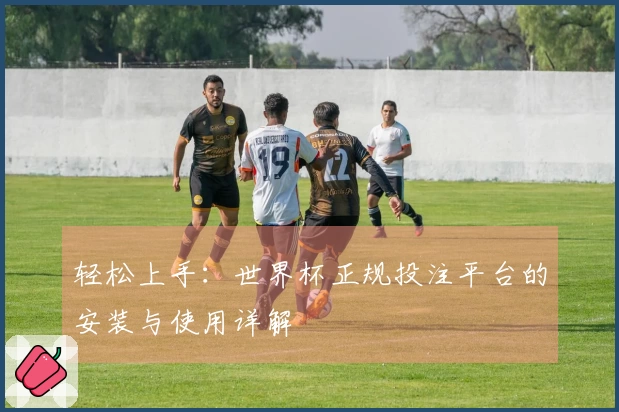 轻松上手：世界杯正规投注平台的安装与使用详解