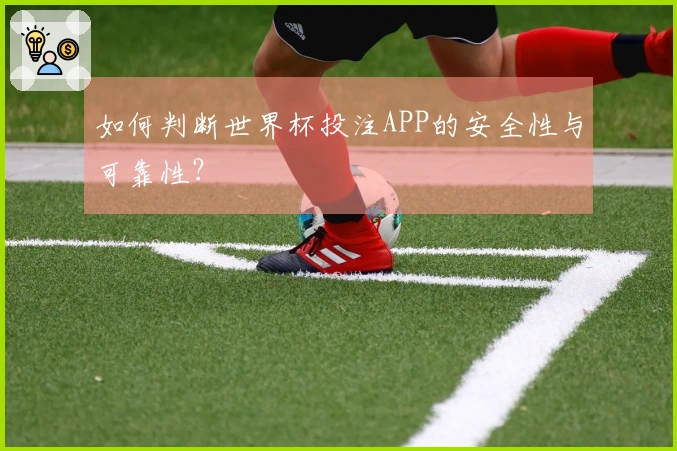如何判断世界杯投注APP的安全性与可靠性？