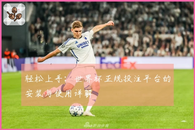 轻松上手：世界杯正规投注平台的安装与使用详解