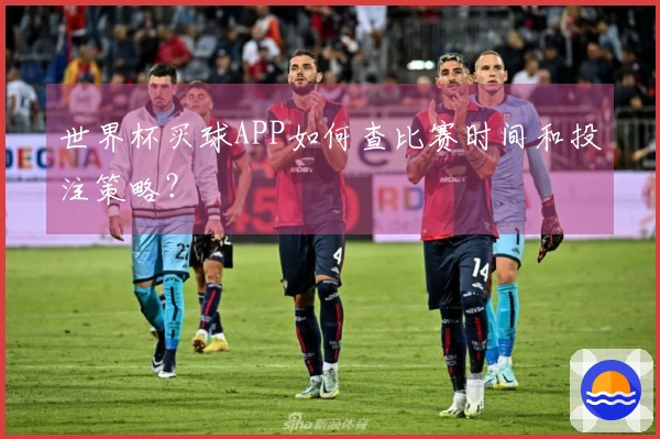 世界杯买球APP如何查比赛时间和投注策略？
