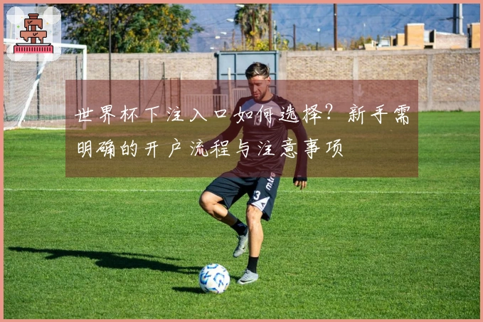 世界杯下注入口如何选择？新手需明确的开户流程与注意事项