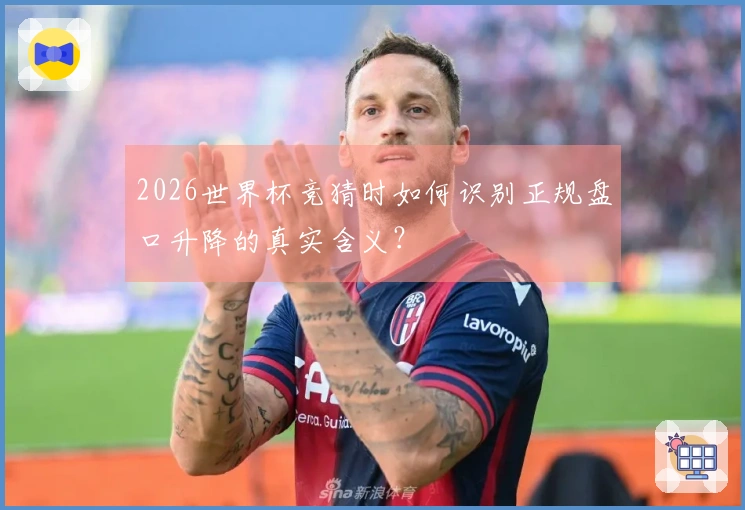 2026世界杯竞猜时如何识别正规盘口升降的真实含义？