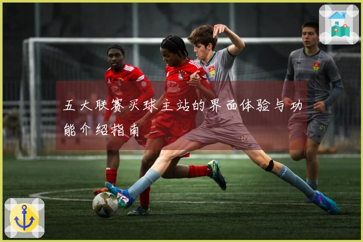 五大联赛买球主站的界面体验与功能介绍指南